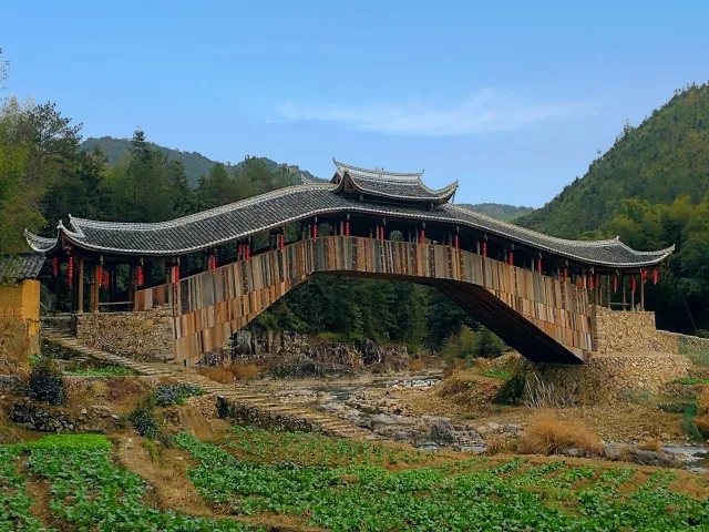 1607518775430087.jpg 1.jpg.jpg